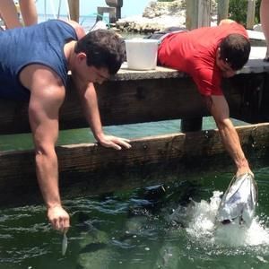 Meet your Posher, Matt